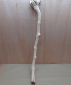 Sandblasted Grapevine - XL 16