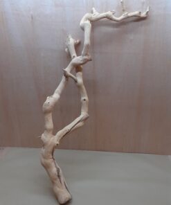 Sandblasted Grapevine - XL 6