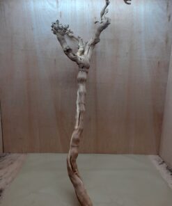 Sandblasted Grapevine - XL 3