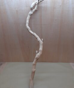 Sandblasted Grapevine - XL 10