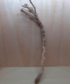 Sandblasted Grapevine - XL 20