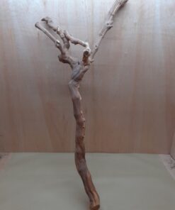 Sandblasted Grapevine - XL 7