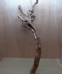 Sandblasted Grapevine - XL 5