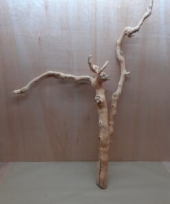Sandblasted Grapevine - XL 11