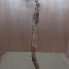 Sandblasted Grapevine - XL 4