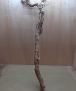 Sandblasted Grapevine - XL 4
