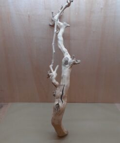 Sandblasted Grapevine - XL 9
