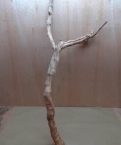 Sandblasted Grapevine - XL 14