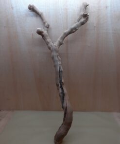 Sandblasted Grapevine - XL 2