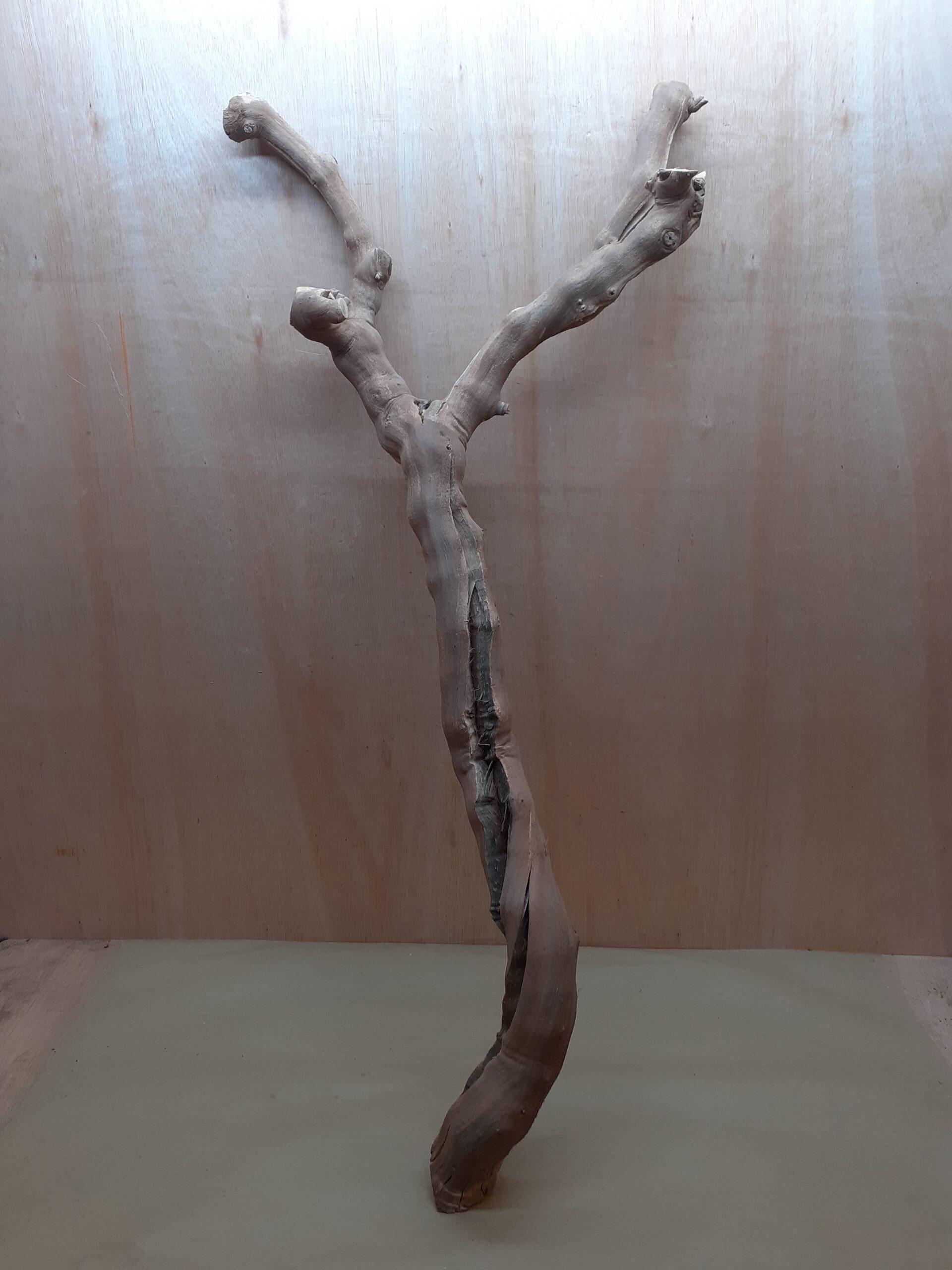 Sandblasted Grapevine - XL 2