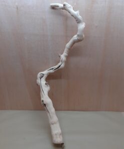 Sandblasted Grapevine - XL 17