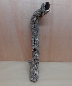 Small Cork Tube - 60-80cm - 15