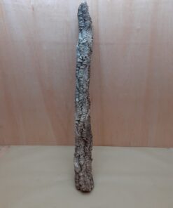 Small Cork Tube - 60-80cm - 18