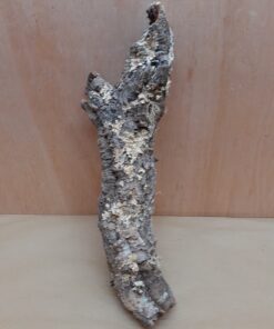 Small Cork Tube - 40-60cm - 14