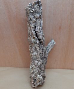 Small Cork Tube - 40-60cm - 17