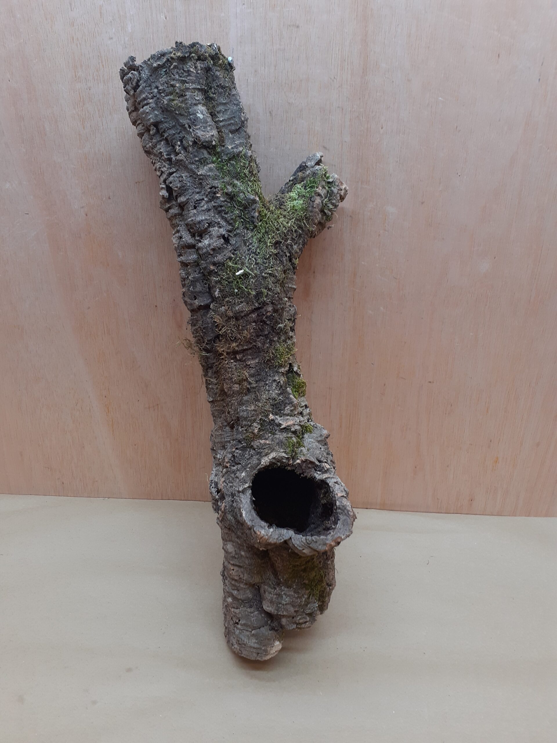 Small Cork Tube - 40-60cm - 19