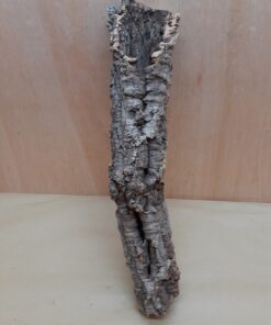 Small Cork Tube - 40-60cm - 3