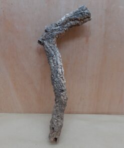 Small Cork Tube - Upto 40cm - 1