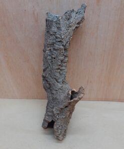 Small Cork Tube - Upto 40cm - 1