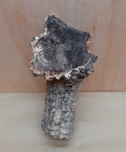 Small Cork Tube - Upto 40cm - 12