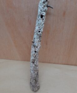 Small Cork Tube - Upto 40cm - 15