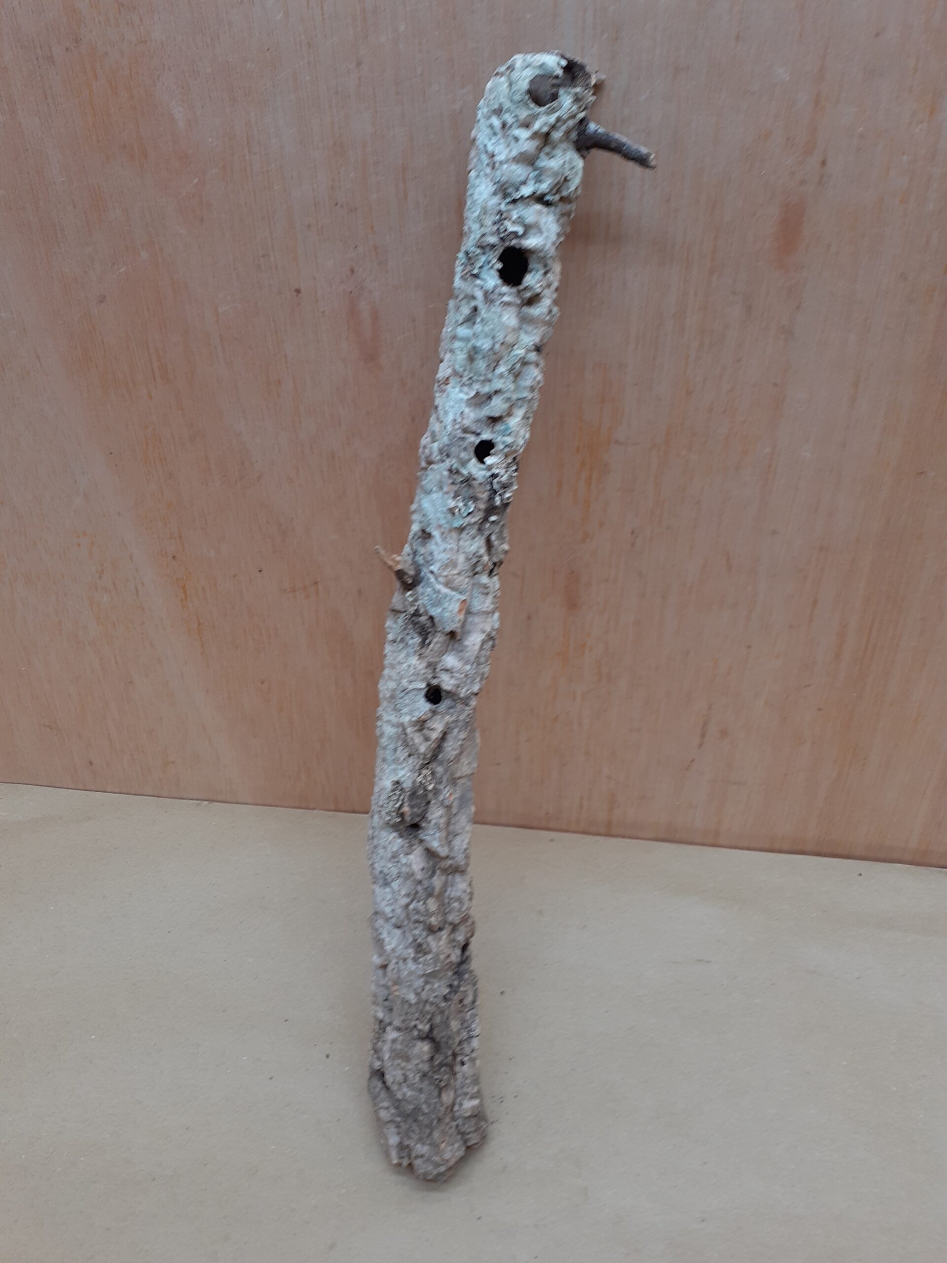 Small Cork Tube - Upto 40cm - 15