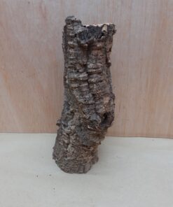 Small Cork Tube - Upto 40cm - 15