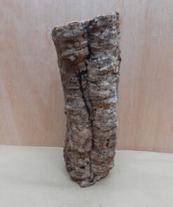 Small Cork Tube - Upto 40cm - 20