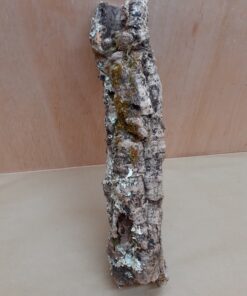 Small Cork Tube - Upto 40cm - 23